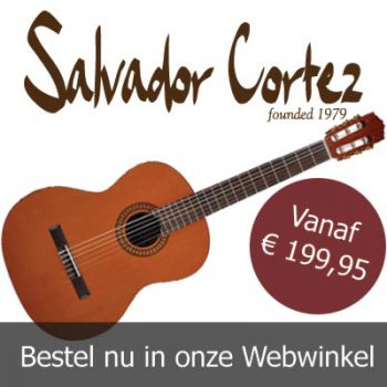 Aanbieding Gitaar